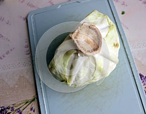 Half head of cabbage on plastic cutting board