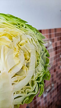 Fresh Green Cabbage Close-Up Cut in Half