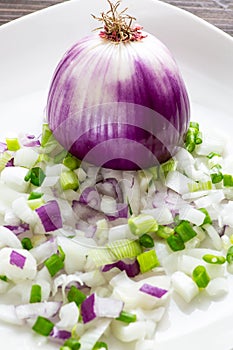 Half a large bulb of sweet onions surrounded by an assortment of chopped onions on a white plate on the kitchen counter waiting fo