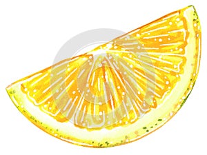 Half lemon slice watercolor illustration