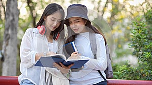 Half-length portrait of two female university students reading book together at the park in university