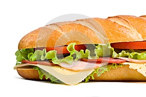 Half of long baguette sandwich