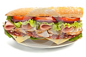 Half of Long Tasty Subway Baguette Sandwich