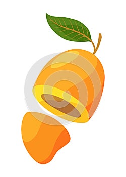 Half mango, tropical fruit vector illustration