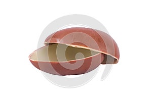 Half Milky Chocolate Egg