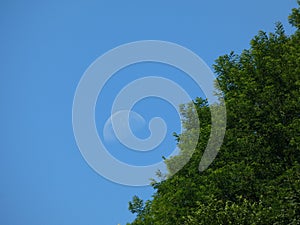 Half-moon in a blue clear sky at daytime