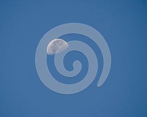 Half moon on the blue sky