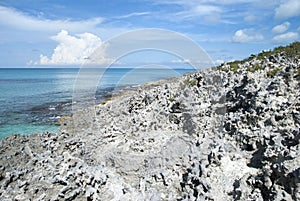 Half Moon Cay Eroded Coastline