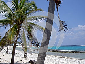 Half moon caye photo