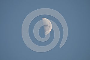 Half Moon in Daytime Sky