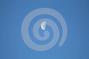 The Half Moon - Third Quarter