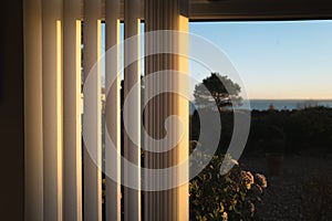 Half open vertical blinds with a golden glow as the sun sets.There is a tree and a view of the sea through the window