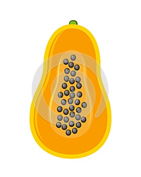 Half part of papaya fruit vector illustration isolated on white