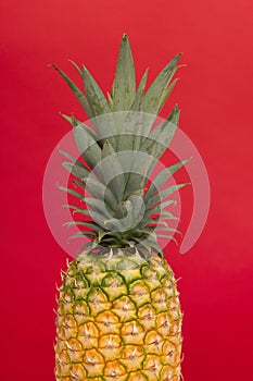 Half part of a pineapple on a red background