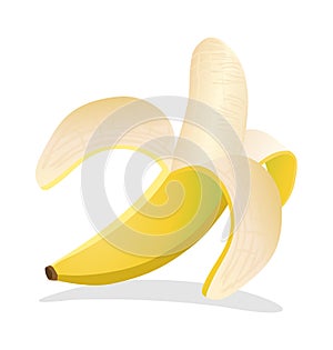 Half pealed banana vector illustration