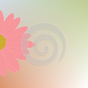 Half Pink Daisy Flower On Colorful Gradient Abstract Background