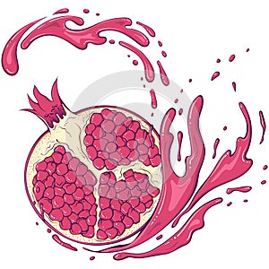 Half pomegranate with splash color
