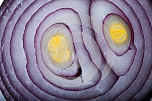Half of purple onion close up.Chopped onion, red hot pepper and spice isolated on , top view, close-up, selective focus