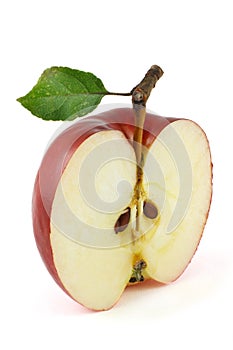 Half of red apple