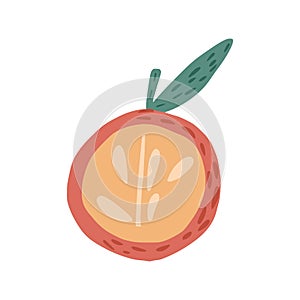 Half red apple with twig and leaf isolated on white background. Apple with seeds hand drawn in doodle style