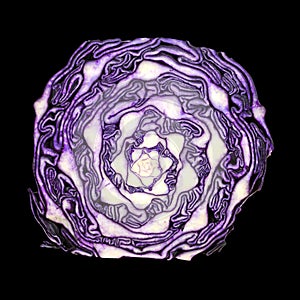 Half red cabbage isolated on white background