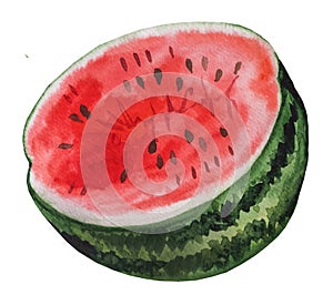 Half of red juicy watermelon. Watercolor tropical fruit illustration