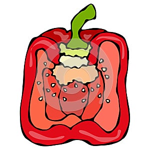 Half of Red Paprika, Bell Pepper or Sweet Bulgarian Pepper. Isolated On a White Background. Realistic and Doodle Style