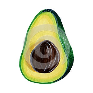 Half of ripe avocado with stone isolated on white background. Watercolo markers hand drawn illustration in realistic style.