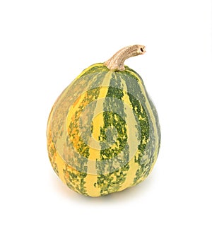 Half-ripe ornamental gourd with yellow and green stripes