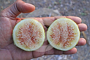 Half sections of fig fruit on hand.