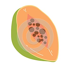 Half slice papaya fruit vector illustration, isolated on white background