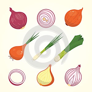 Half, slice and whole onion ripe. Yellow, red and spring onions vegetable vector set in cartoon style.