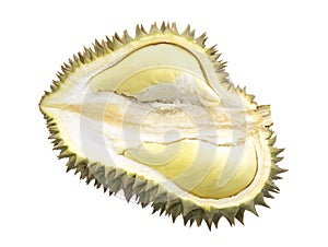 Half sliced durian isolated