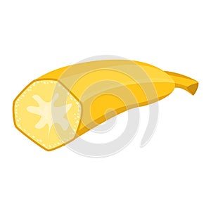 Half sliced fresh yellow banana. Ripe banana fruit cut on white, healthy eating. Tropical banana vector illustration.