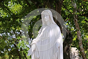 A half statue of the Blessed Virgin Mary in a garden