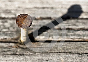 Oxidado una una cabeza a sombra sobre el viejo madera 