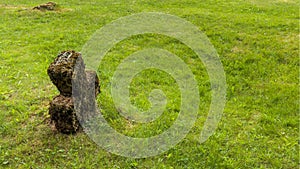 Half-sunken burial cross mark forgotten grave