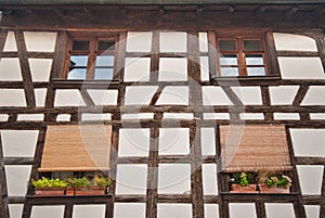 Half-timbered house close-up, Colmar, France