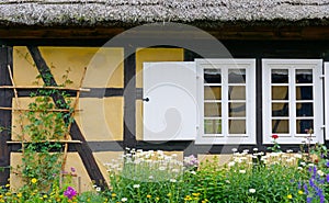 Half-timbered house with flower garden in foreground