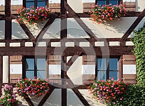 Half-timbered house with several window shutters and flowers