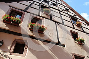 half-timbered house in a village (riquewihr) in alsace (france)
