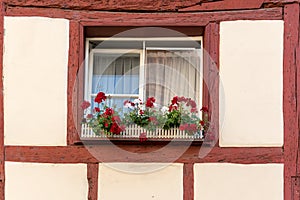 Half-timbered house with window shutters and flowers