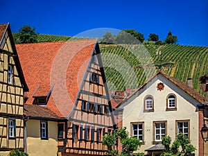 Half timbered houses and a vineyard on Alsatian Wine Route, Riquewihr, France