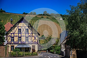 Half timbered houses and a vineyard on Alsatian Wine Route, Riquewihr, France