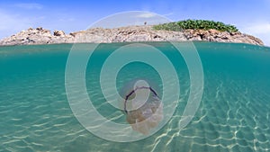 Half underwater shot of jellyfish on sand sea floor and palm island, Tropical island in tropical Ocean and wonderful and beautiful