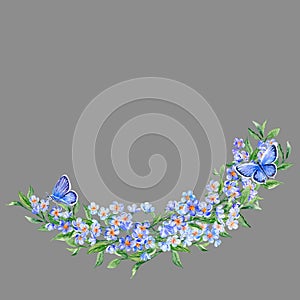 Half-vignette Forget-me-not and blue Butterflies