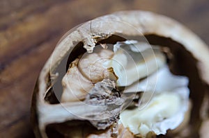 Half a walnut core macro