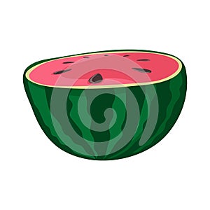 Half of watermelon. Green striped berry with red pulp and brown seeds