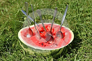 Half watermelon with spoons on grass.