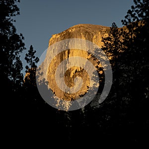 Halfdome Glows Orange Through The Pines In Yosemite Valley photo